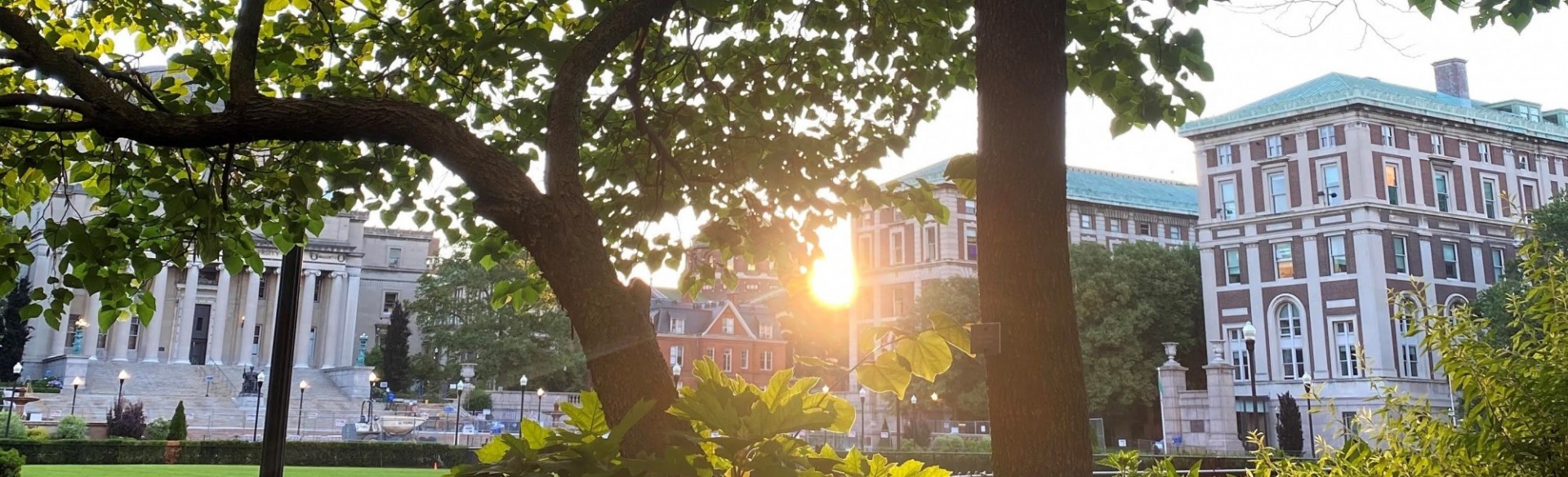 Sunset visible beyond leafy trees and beyond buildings.