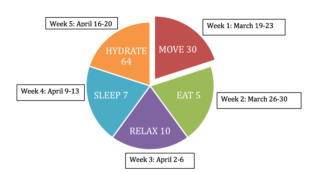 HLC Pie Chart