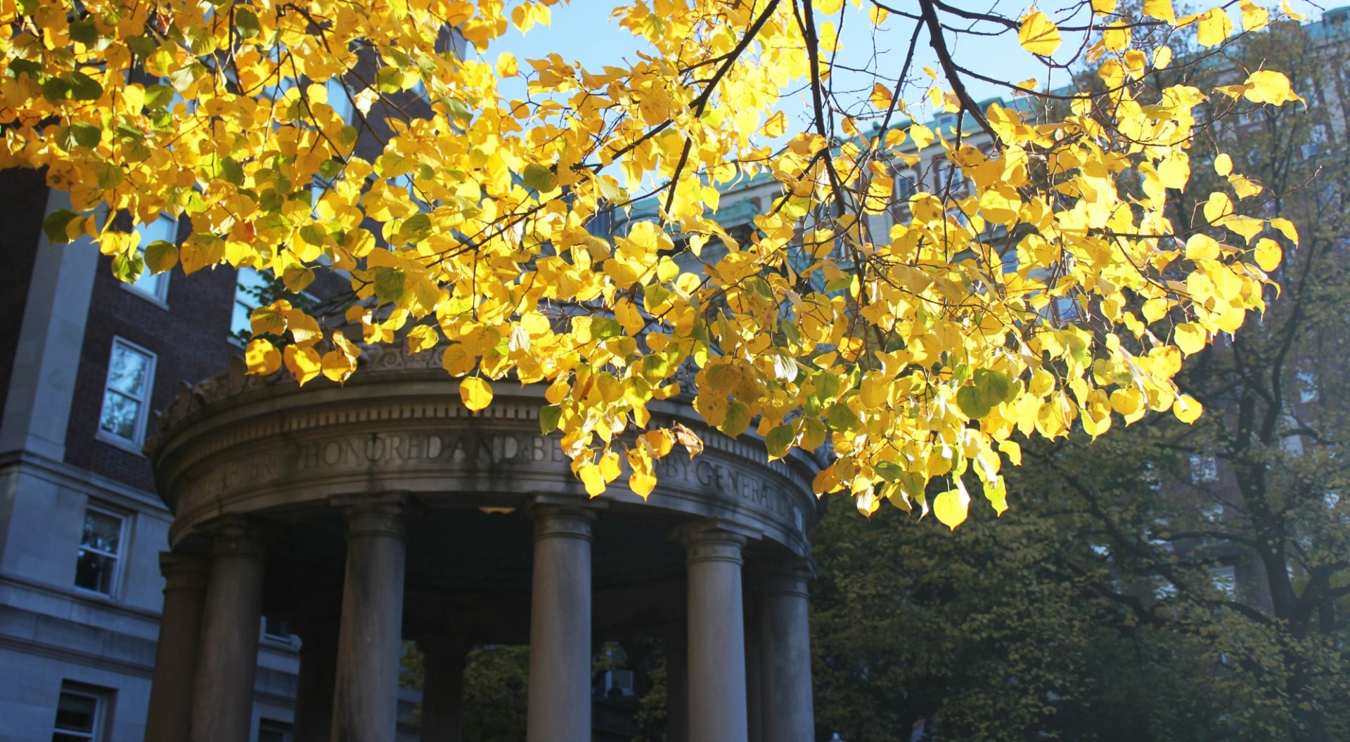 Yellow fall leaves in foreground with rotunda and buildings behind. 