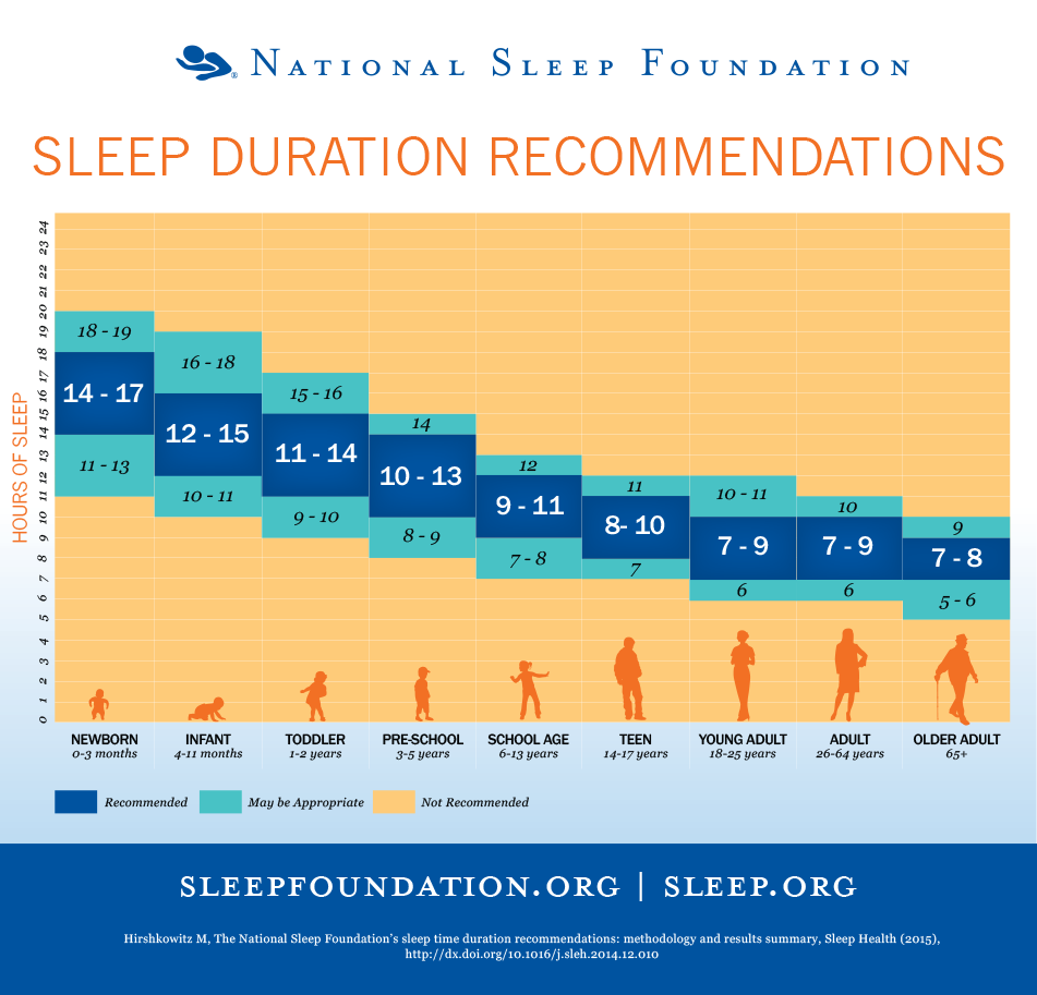 Sleep Schedule For Adults