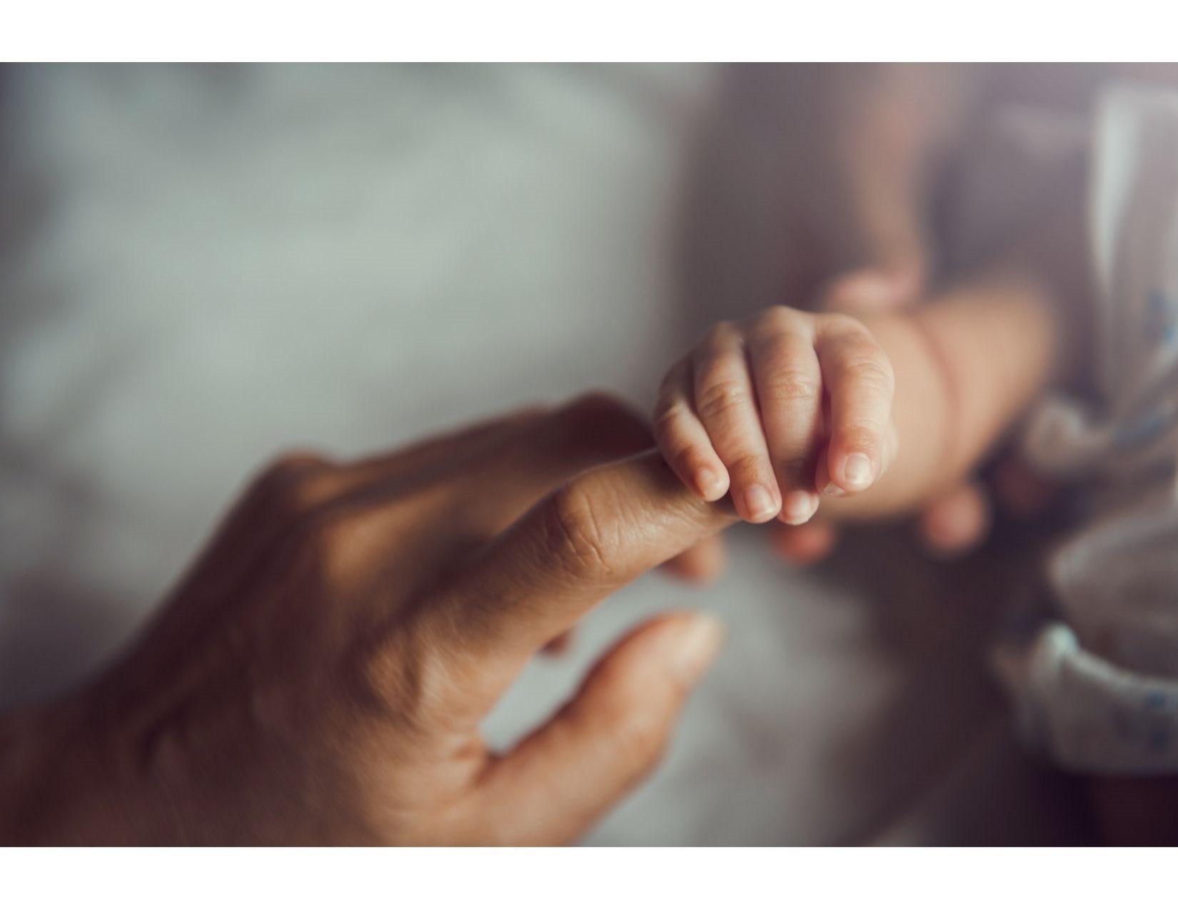 infant hand holding finger of adult hand