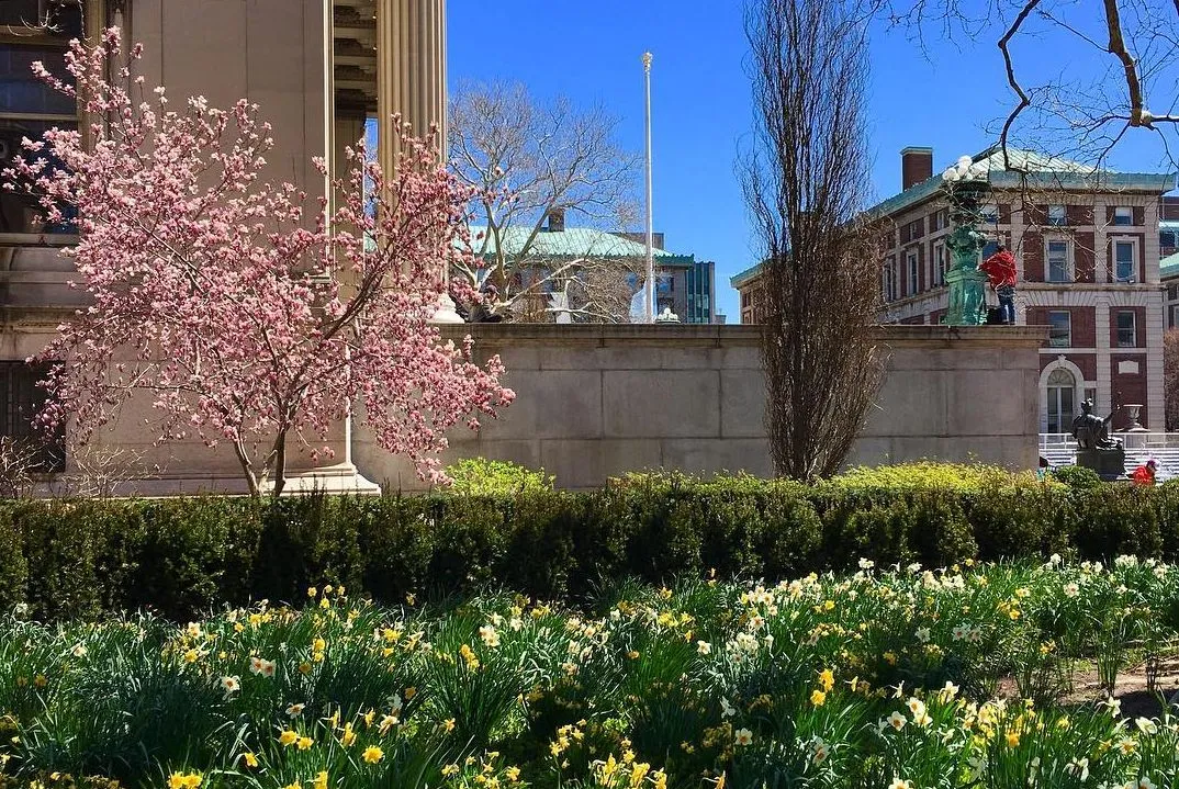 Flowers on campus