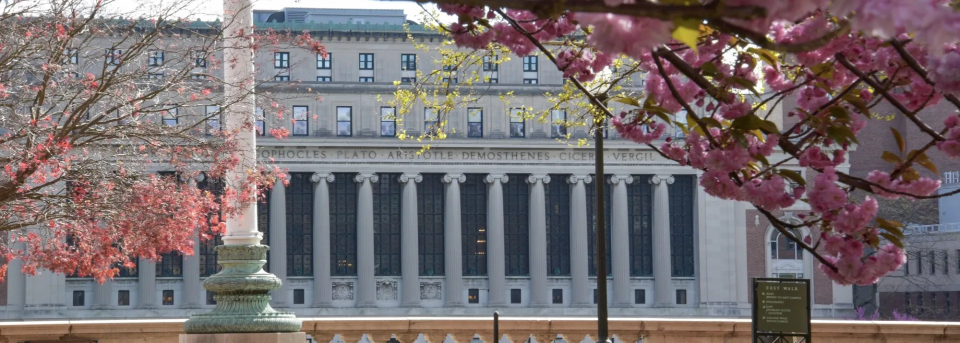 Columned building in background, pink flowering tree in foreground. 