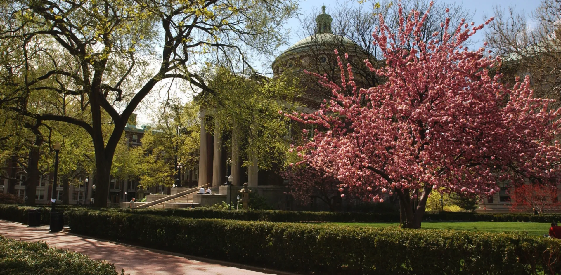 Pillared building and tree with pink blossoms