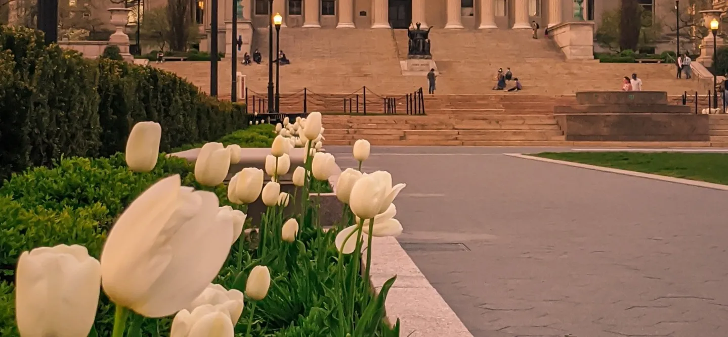 Spring flowers, domed building with pillars in background.