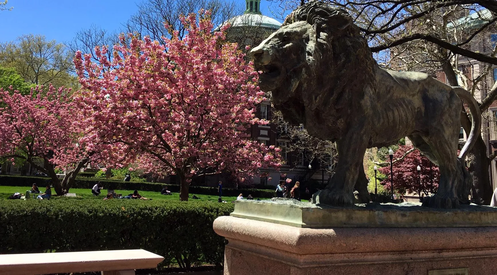 Stone lion statue with flowering tree