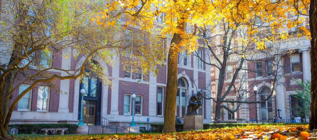 Fall foliage with red brick building in background.