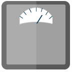Scale Icon