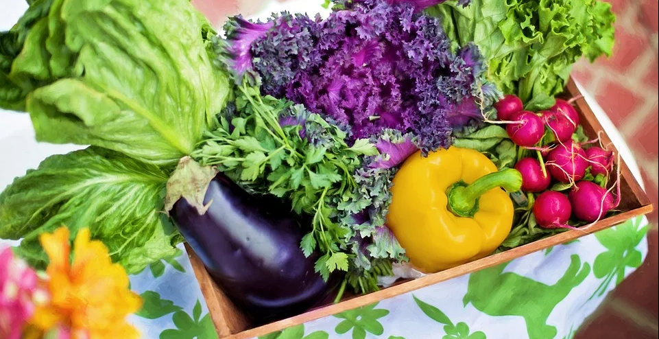 basket of vegetables