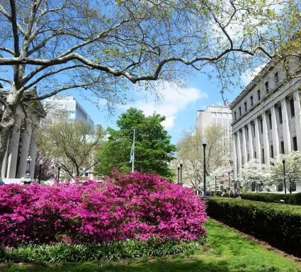Columbia campus view